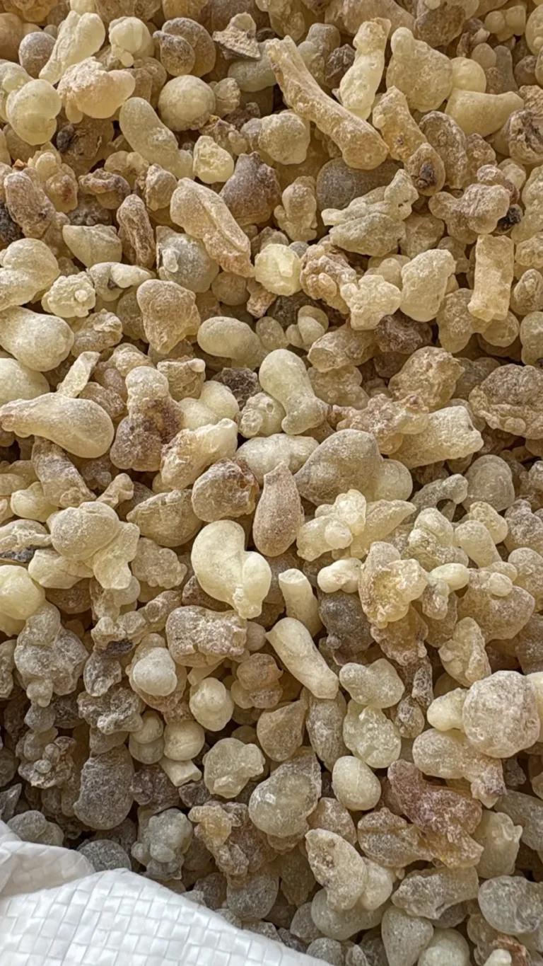 Bagged resin ready for grading
