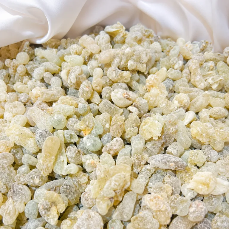 Sorted Omani frankincense resin